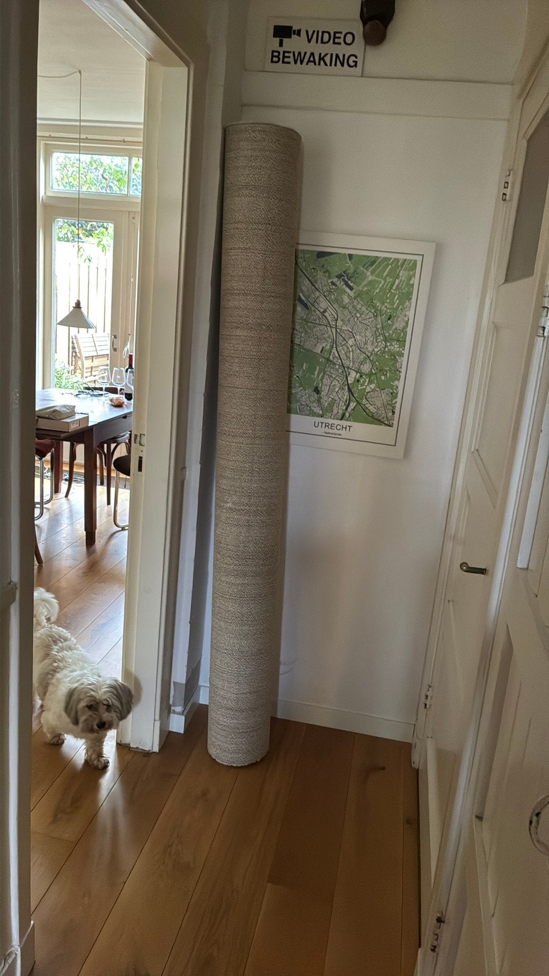 Vloerkleed, ecru en 2 bij 3 meter, Ophalen, Gebruikt, Beige, Tapijt