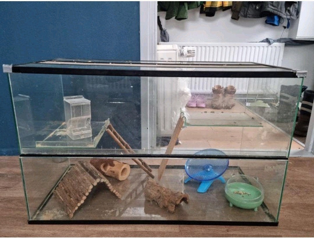 Absoluut paradijs voor uw kleine knager! Nooit meer rommel, Dieren en Toebehoren, Knaagdieren en Konijnen | Hokken en Kooien, Hamster