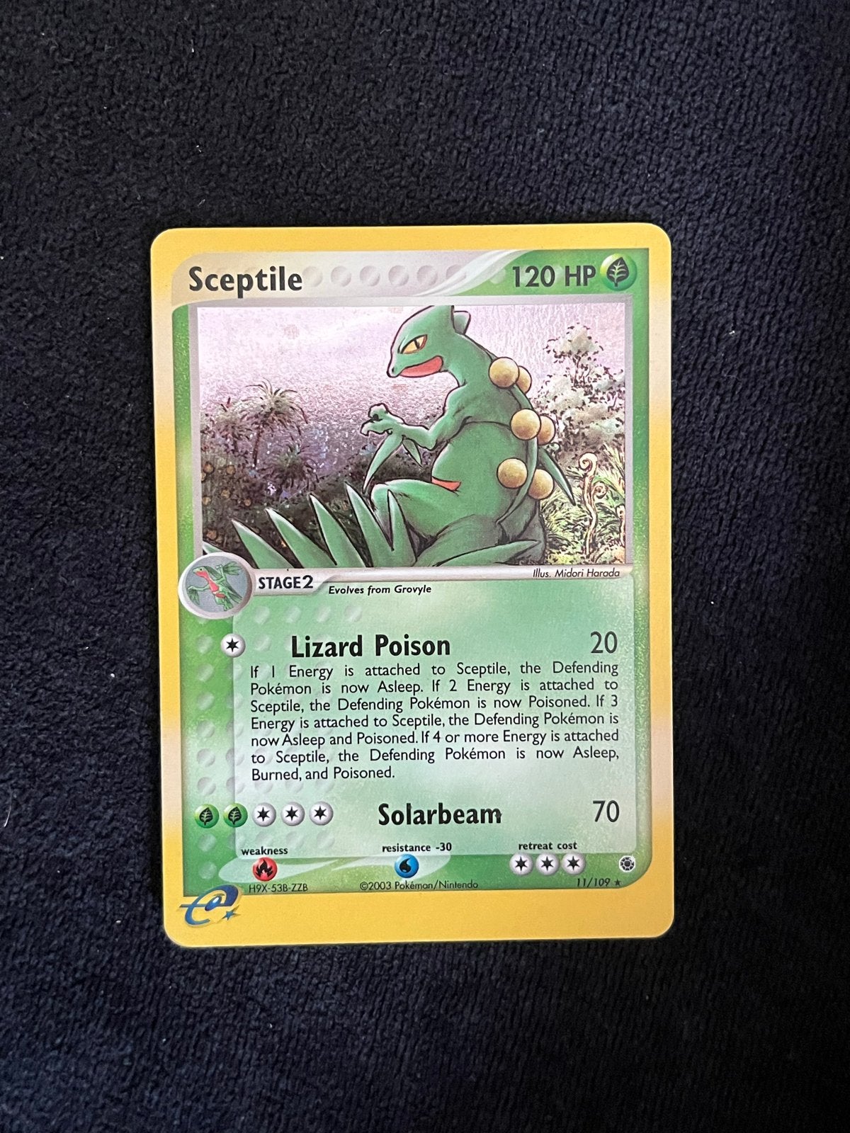 Sceptile Holo EX Ruby & Sapphire Pokémon Kaart, Ophalen of Verzenden, Gebruikt, Losse kaart, Foil