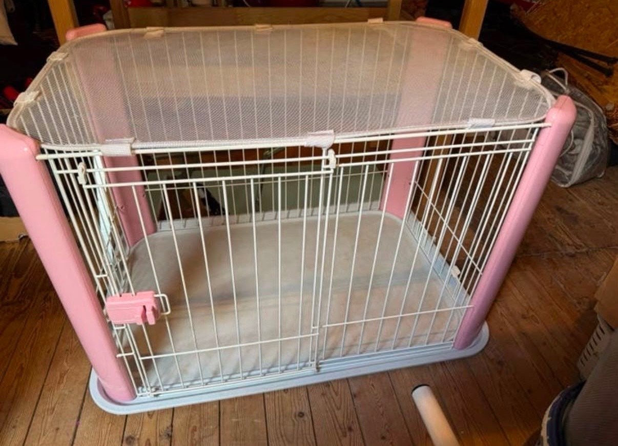 Honden bench, Ophalen, Zo goed als nieuw