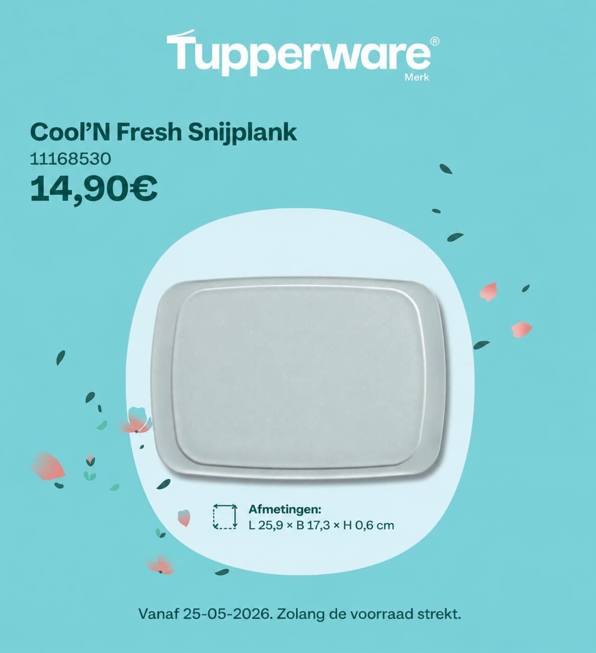 Tupperware Cool'N Fresh Snijplank - Nieuw, Huis en Inrichting, Keuken | Tupperware, Ophalen of Verzenden, Nieuw, Overige kleuren