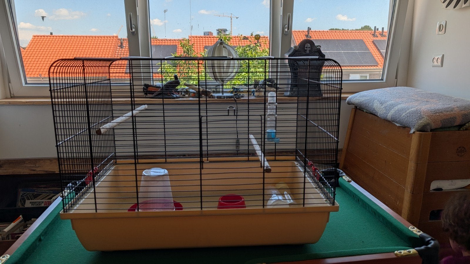 Vogel kooi voor kanarie vogelkooi voliere