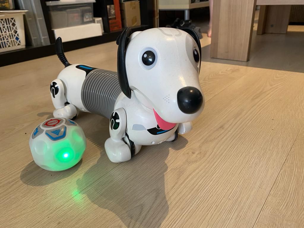 Interactieve Hond op Afstandsbediening met Bal, Ophalen, Gebruikt, Jongen of Meisje