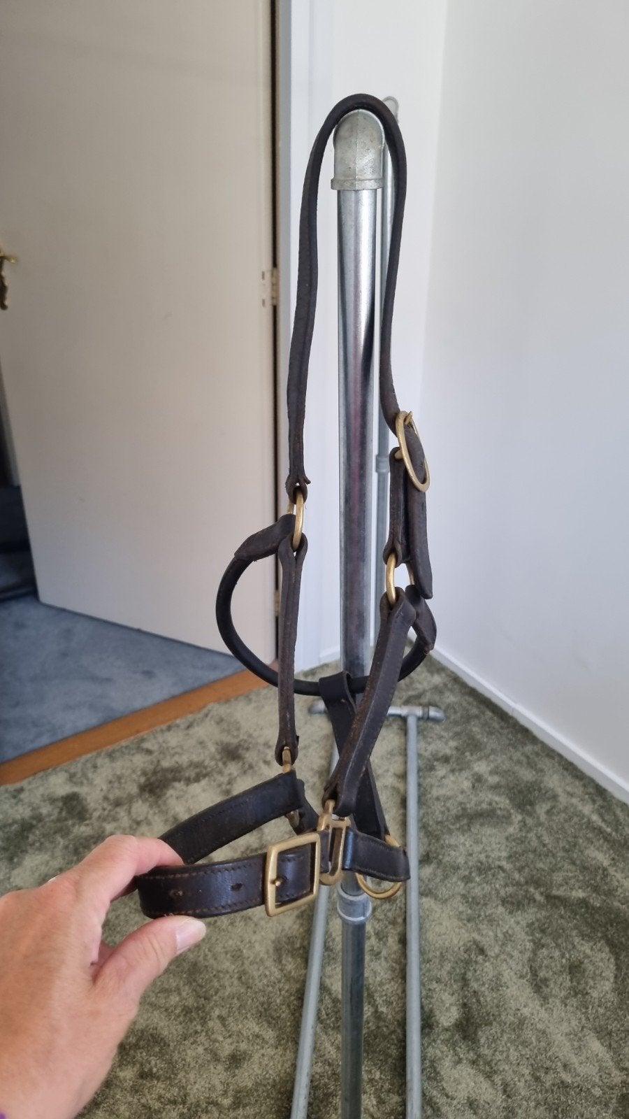Zwart leren halster paard, Ophalen of Verzenden, Zwart, Halster