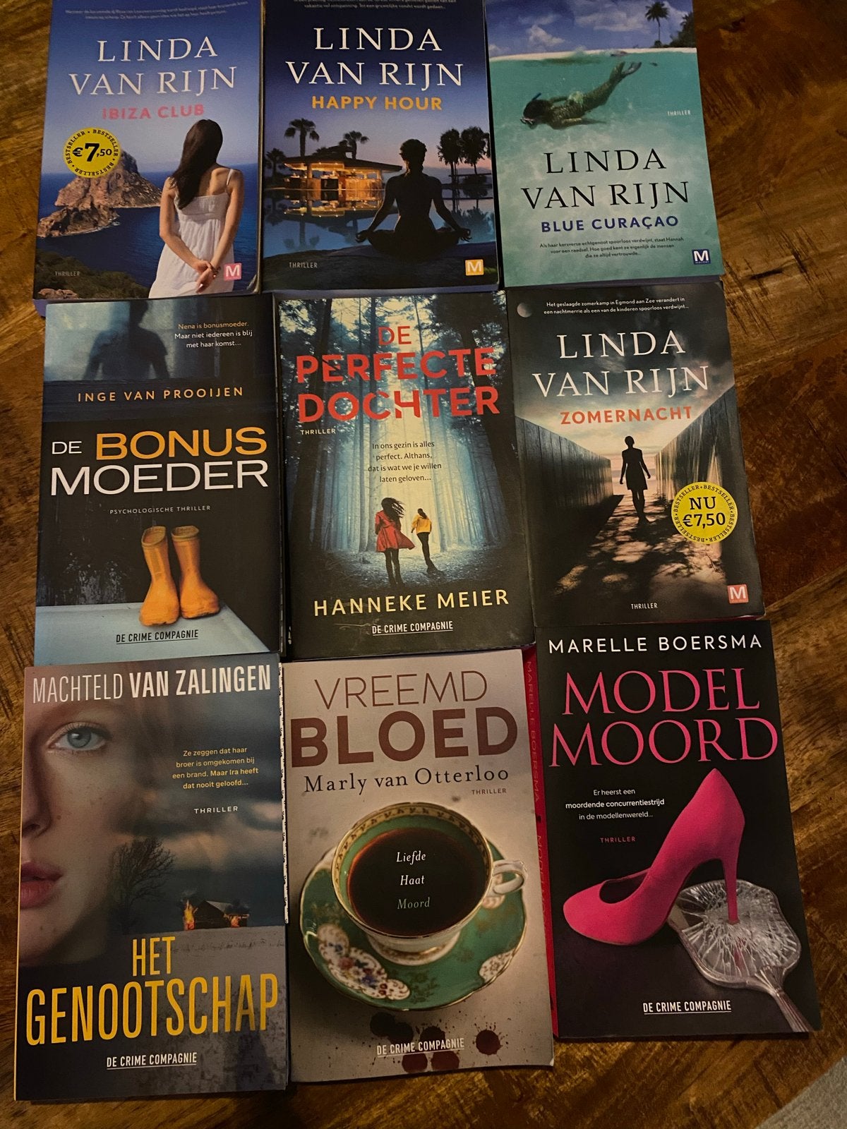 Spannende Thrillers: Linda van Rijn, Inge van Prooijen en me, Ophalen of Verzenden, Zo goed als nieuw, Nederland