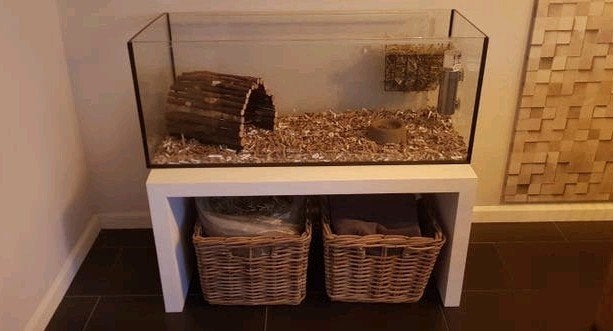 Hamsterkooi/ Caviakooi/ Terrarium/ Aquarium op een op maat g, Ophalen, Kooi, Minder dan 60 cm