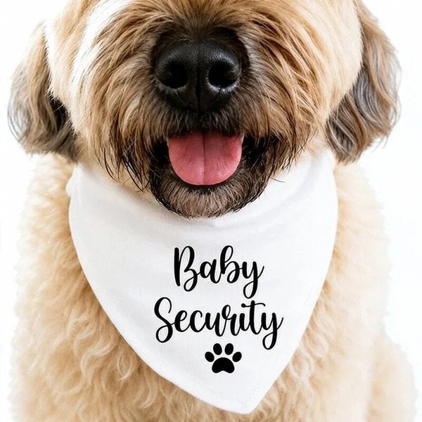 Honden bandana Big Sister en nog veel meer!, Overige typen, Nieuw, Ophalen of Verzenden, Info@sweet-one.nl