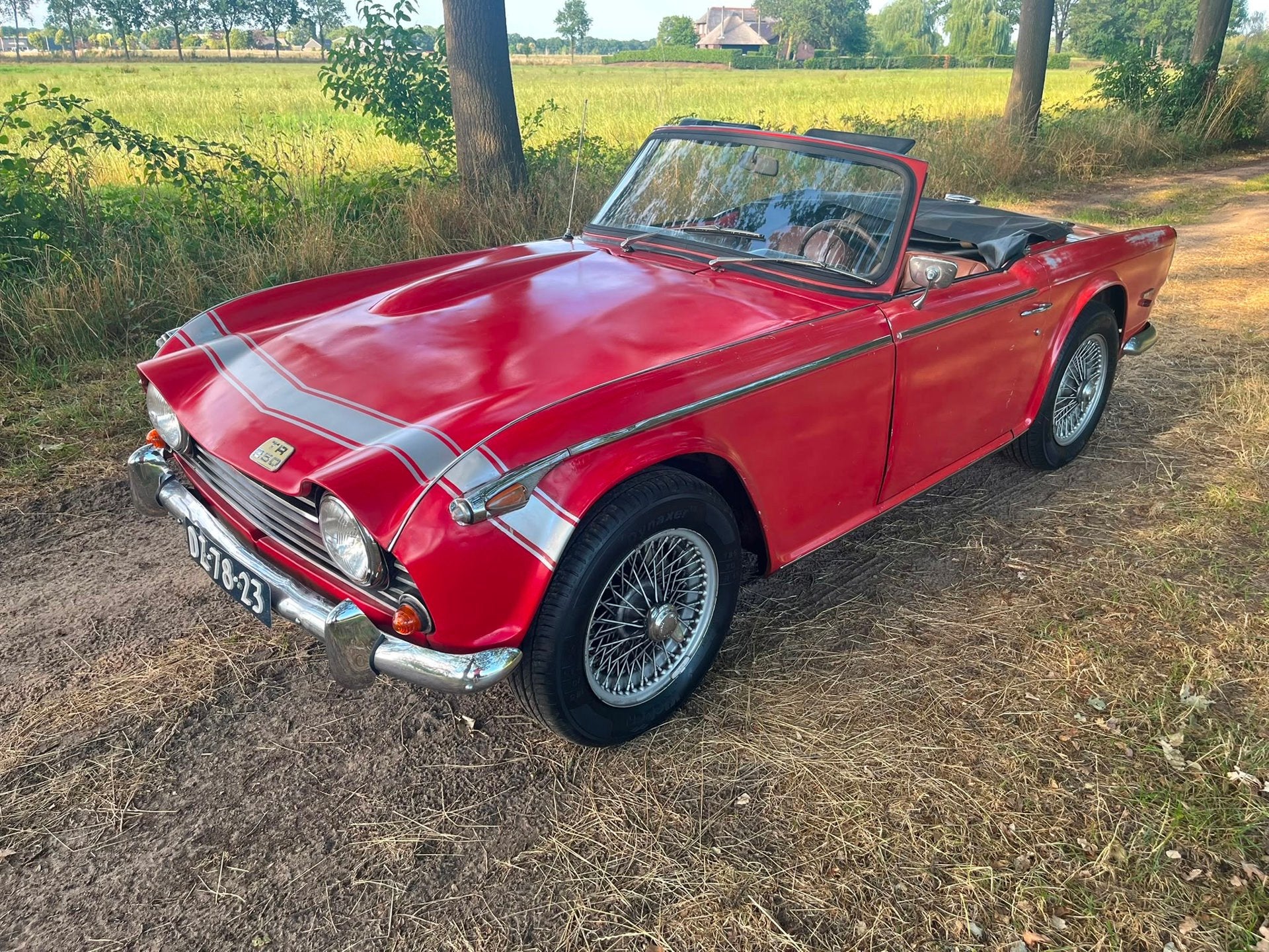 Triumph TR250 Gereviseerde motor, foto 2