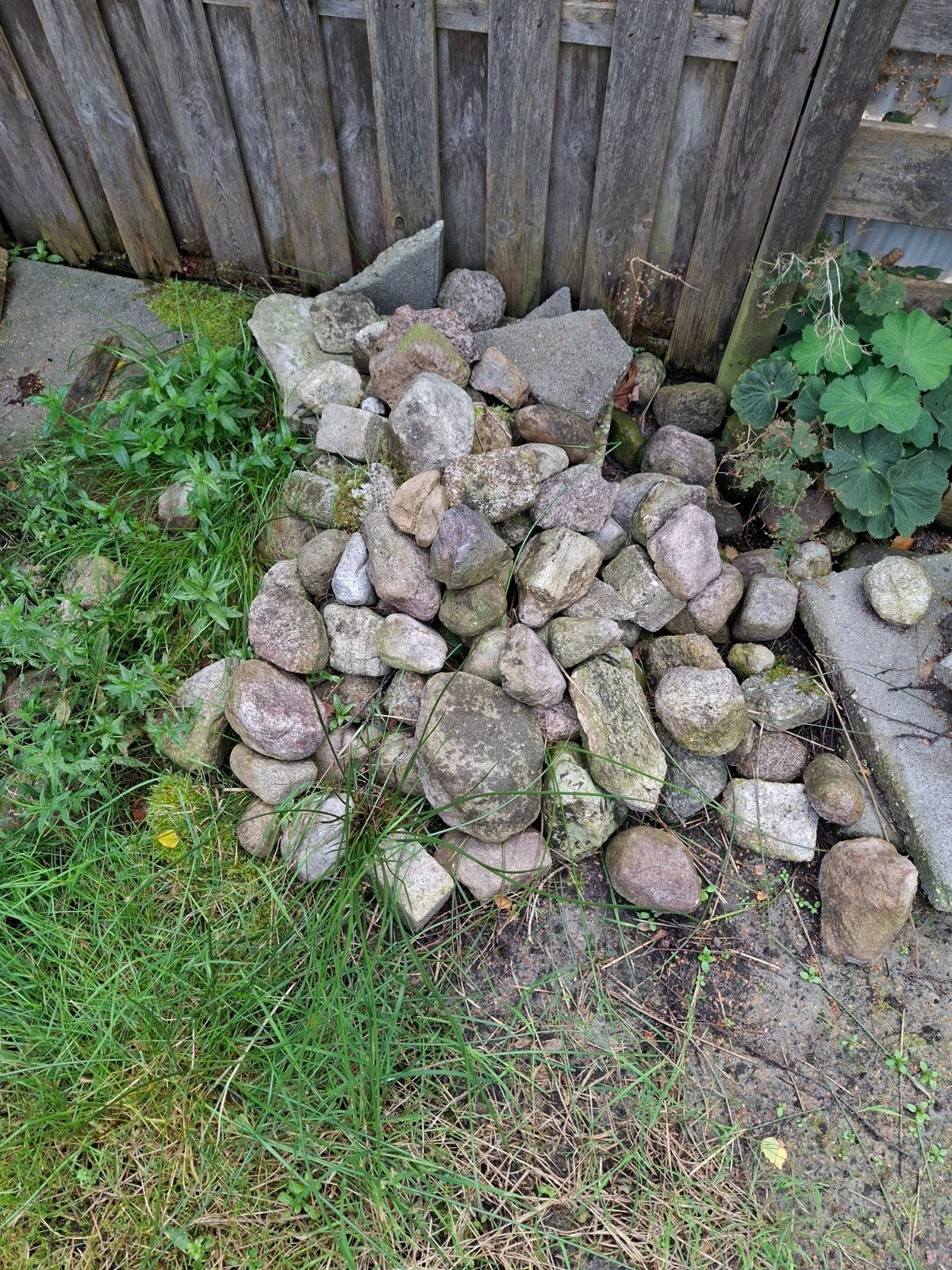 Diverse stenen voor tuin of decoratie, Ophalen, Overige materialen, Gebruikt, Kei