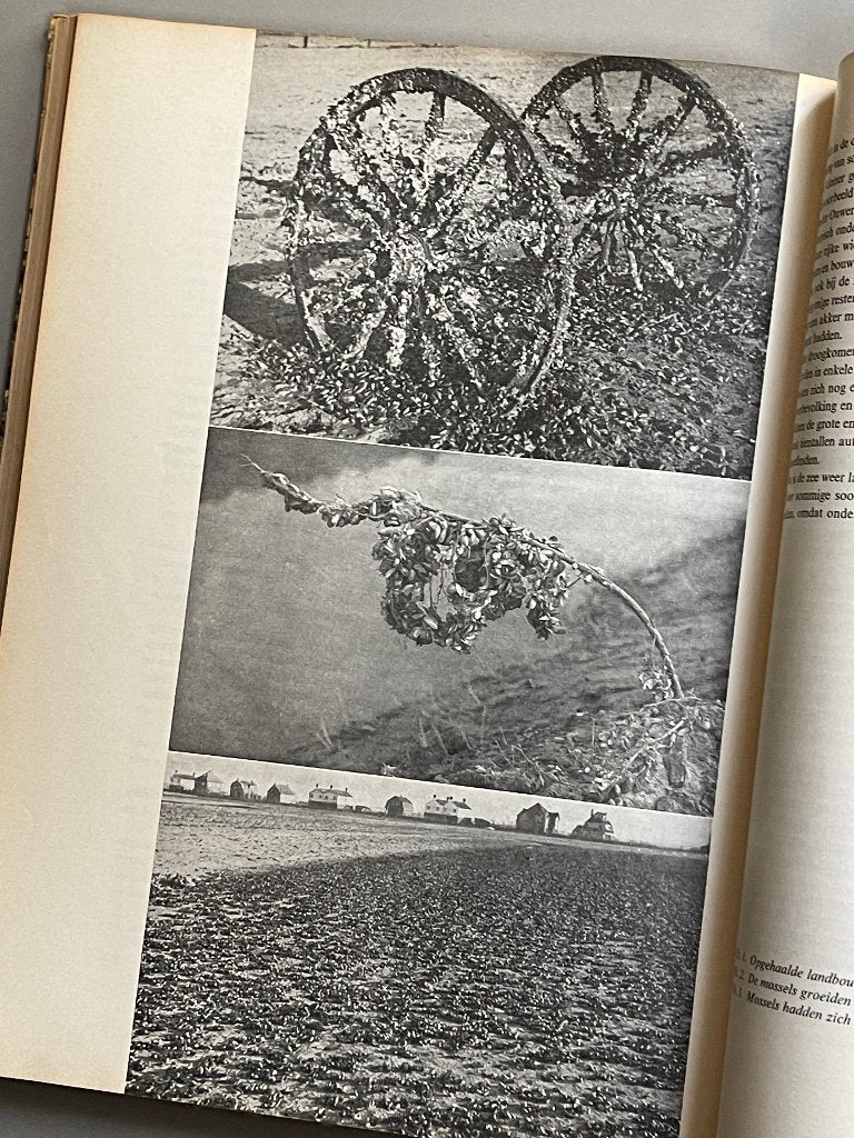 GEKWELDE GROND. Schouwen-Duiveland in ramp en herstel. 1958, Boeken, Ophalen of Verzenden, 20e eeuw of later, Zo goed als nieuw