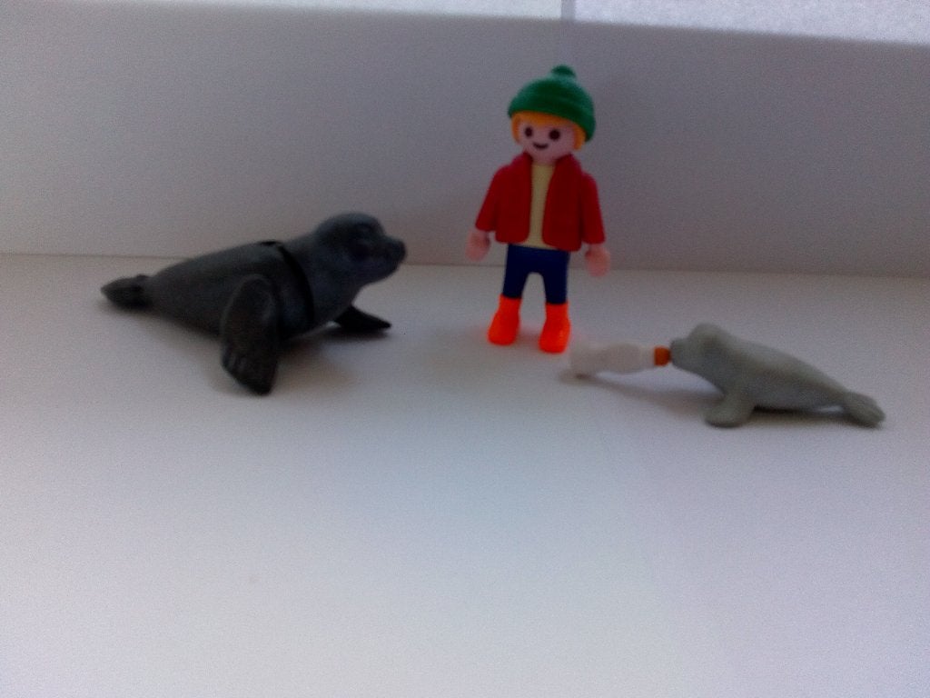 Playmobil set 4660 Jongen met zeehonden, Ophalen of Verzenden, Gebruikt, Complete set