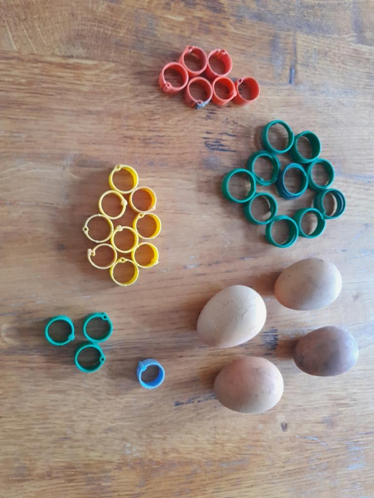 Kippen ringen en kunst eieren, Ophalen of Verzenden, Gebruikt, Overige typen