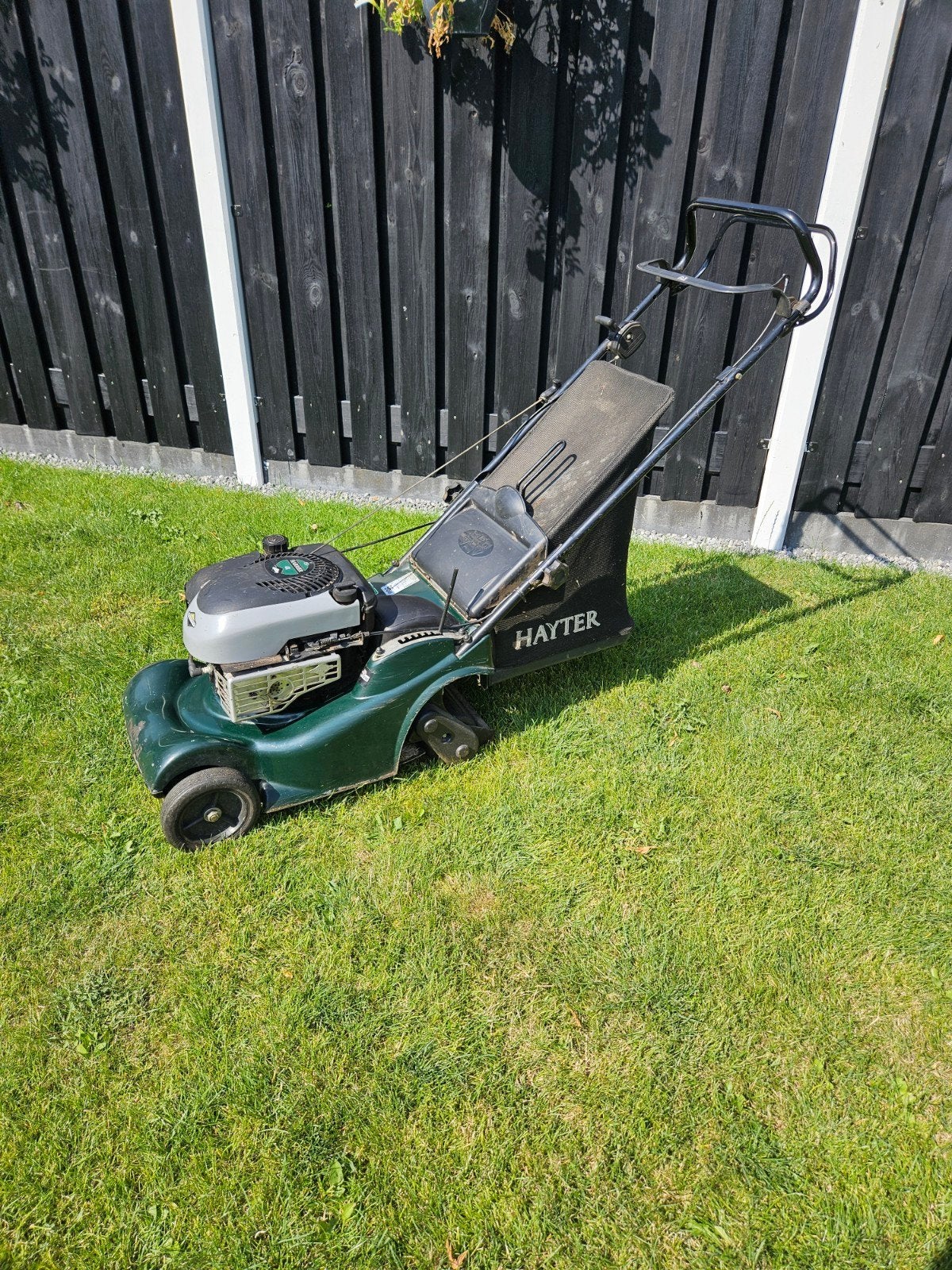 Hayter grasmaaier - op benzine, Tuin en Terras, Grasmaaiers, Ophalen, Gebruikt, Benzine-grasmaaier, Hayter