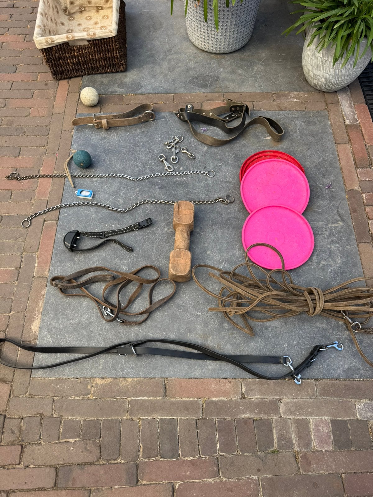 Diverse hondenspullen, Dieren en Toebehoren, Honden-accessoires, Ophalen, Gebruikt