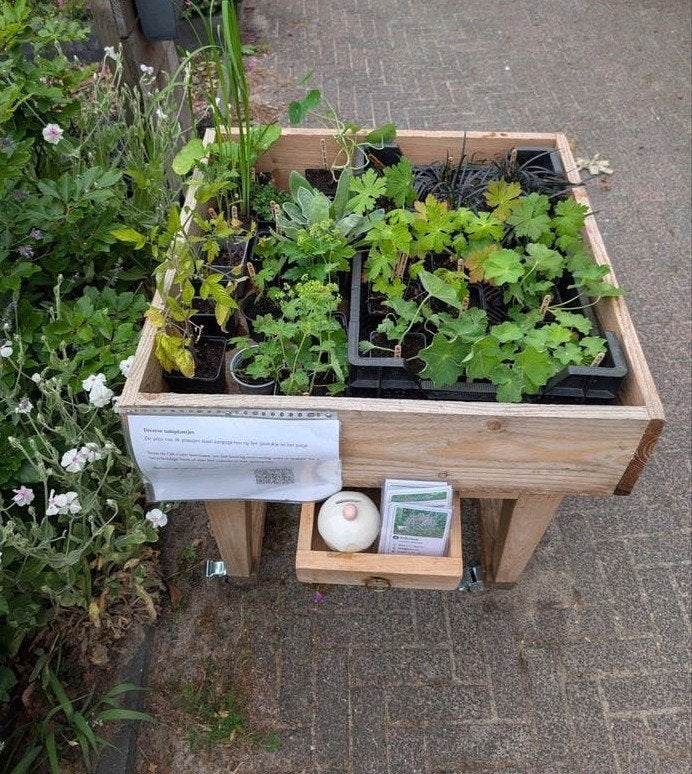 Plantjes aan de weg voor ( vaste plantjes en tomatenplanten), Ophalen, Rond, Minder dan 30 cm