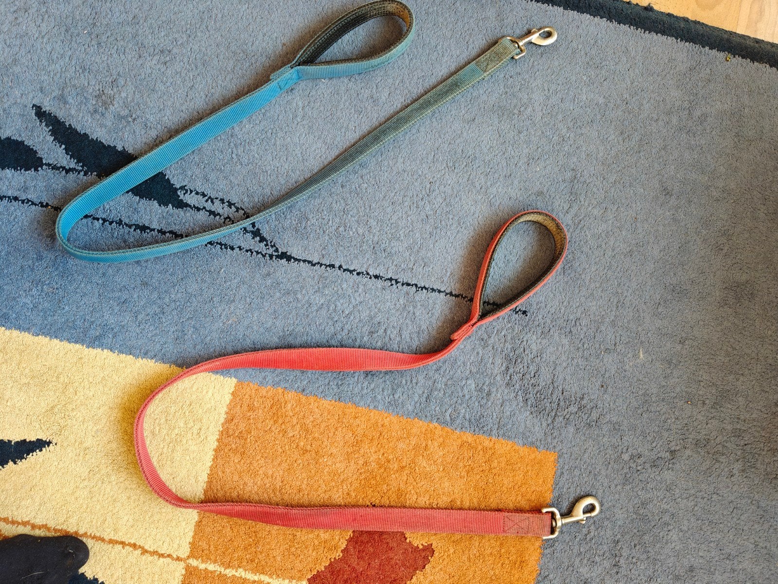 Te koop korte riemen in blauw en rood, Dieren en Toebehoren, Ophalen, Gebruikt