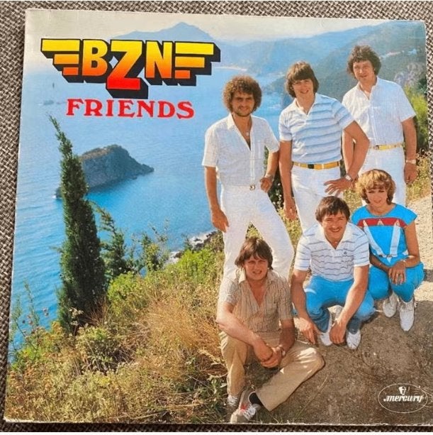 LP BZN - Friends, Cd's en Dvd's, LP, Pop, Ophalen of Verzenden, Zo goed als nieuw