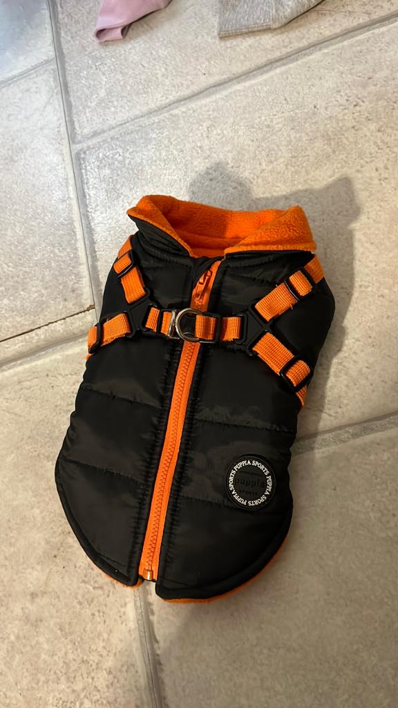 Chihuahua jasje, Dieren en Toebehoren, Honden-accessoires, Ophalen of Verzenden, Zo goed als nieuw