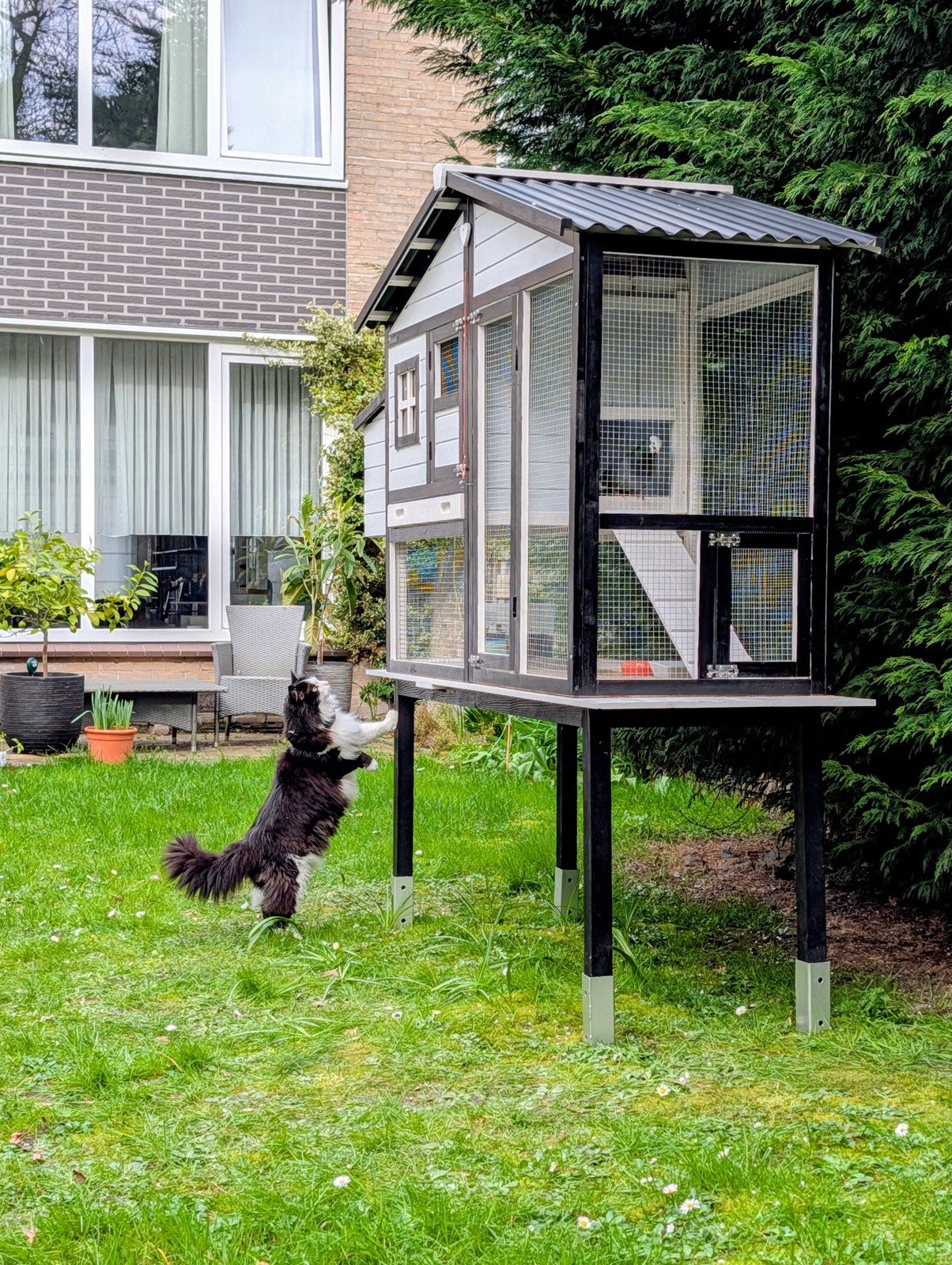 Prachtig duivenhok op poten (als nieuw!), Dieren en Toebehoren, Ophalen of Verzenden, Zo goed als nieuw, Hout, Vogelkooi