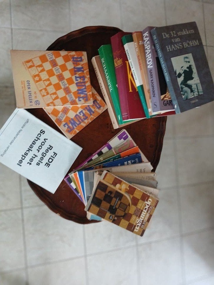 SCHAAKBOEKEN, Ophalen of Verzenden, Gelezen, Overige onderwerpen