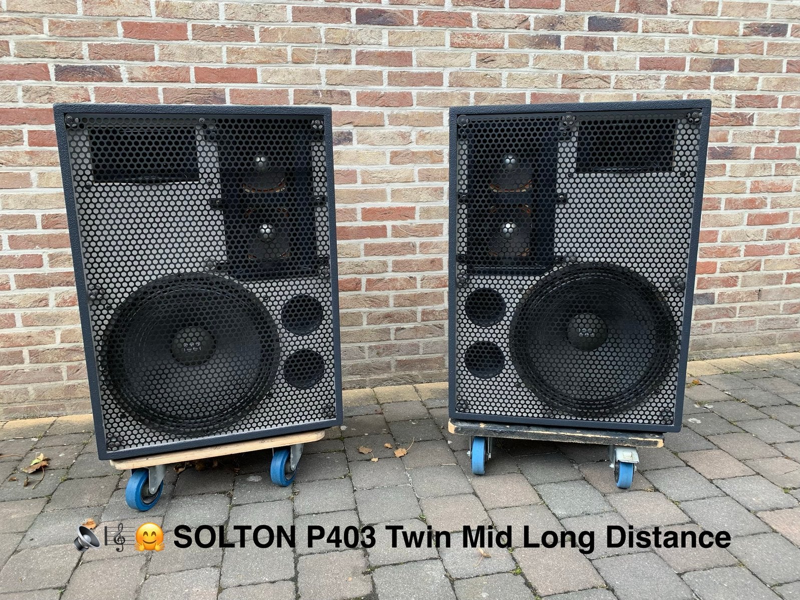 SOLTON P403 Twin Mid Long Distance in nieuwe kasten!, Zo goed als nieuw, 120 watt of meer, Front, Rear of Stereo speakers, Ophalen