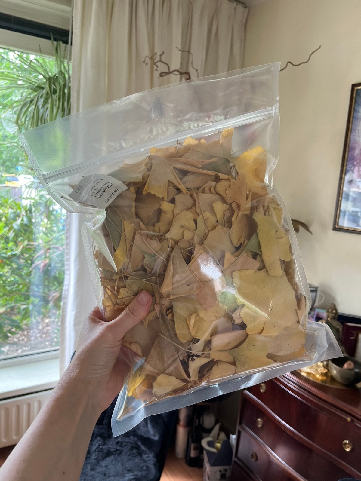 Dried Ginkgo Biloba Leaves — Ginkgo biloba — 80 g — Bio, Ophalen of Verzenden, Volle zon, Overige soorten