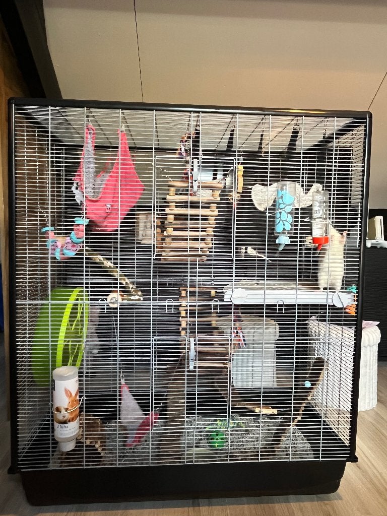 Knaagdierenkooi, Dieren en Toebehoren, Ophalen, Kooi, Zo goed als nieuw, 90 cm of meer