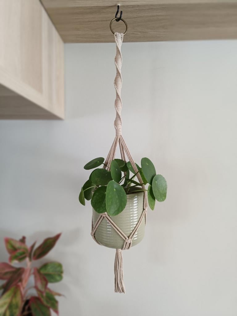 Macramé plantenhanger, Beige, Boho, Nieuw, Ophalen of Verzenden