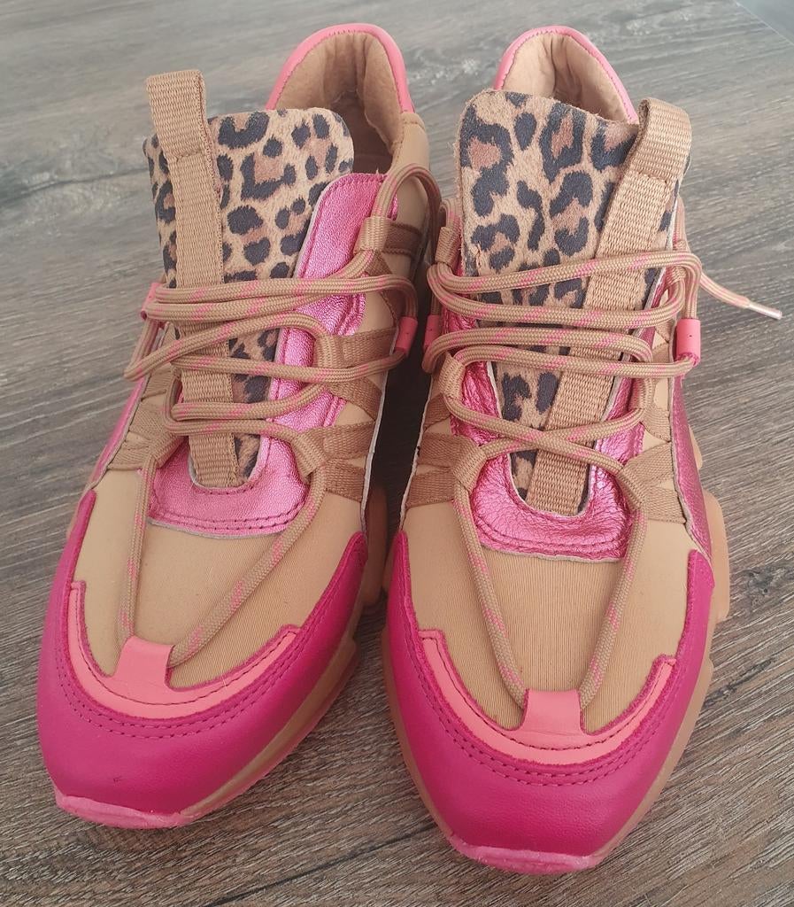 Nieuwe DWR'S sneakers, maat 42, Kleding | Dames, Schoenen, Nieuw, Sneakers of Gympen, Overige kleuren, Ophalen of Verzenden