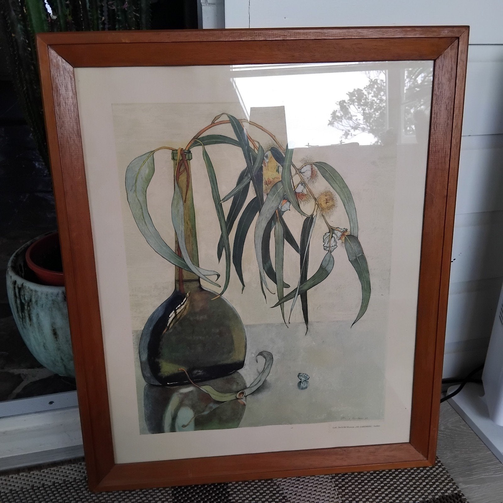 Floris Verster Eucalyptus, Ophalen of Verzenden