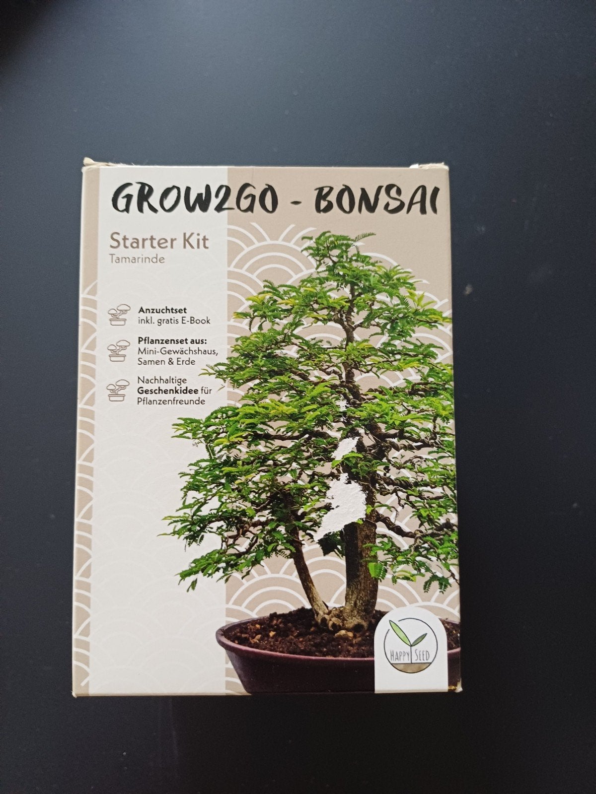 Grow2Go Bonsai Starter Kit Tamarinde, Ophalen of Verzenden, Vaste plant, Overige soorten