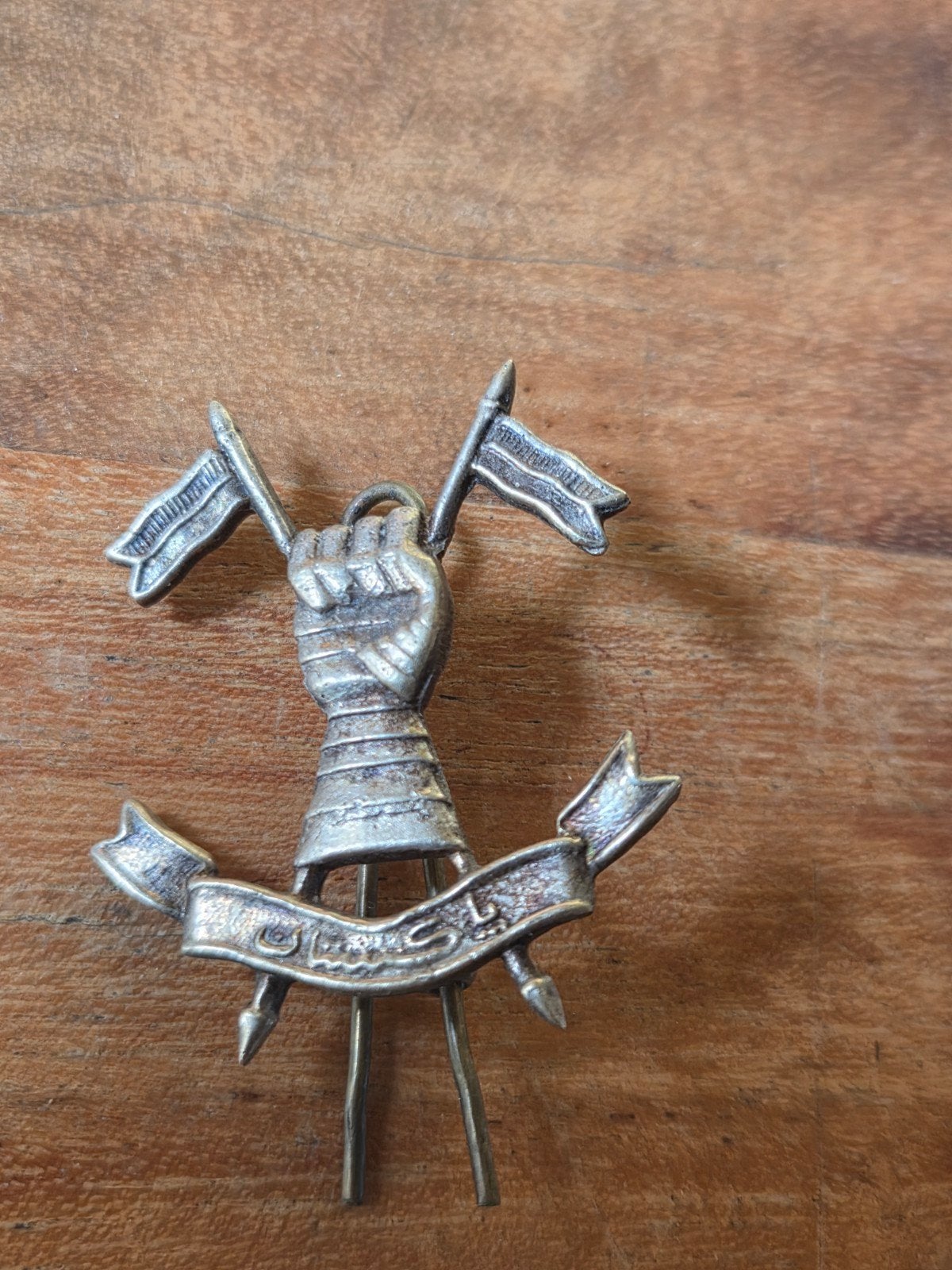 baret embleem armoured corps Pakistan, Ophalen of Verzenden, Landmacht, Overige gebieden, Embleem of Badge