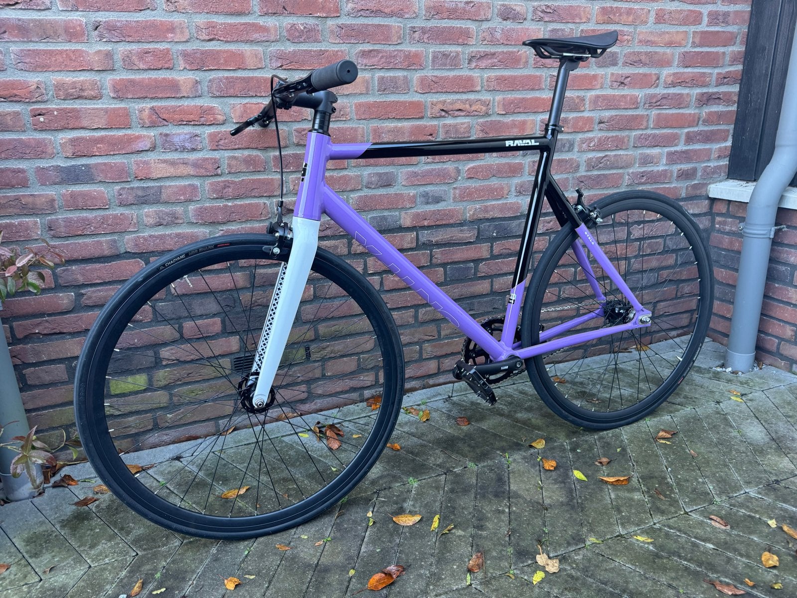 SantaFixie Raval Fixie Fiets - Stela (58 cm), Fietsen en Brommers, Velgrem, Zo goed als nieuw, 57 tot 61 cm, Ophalen