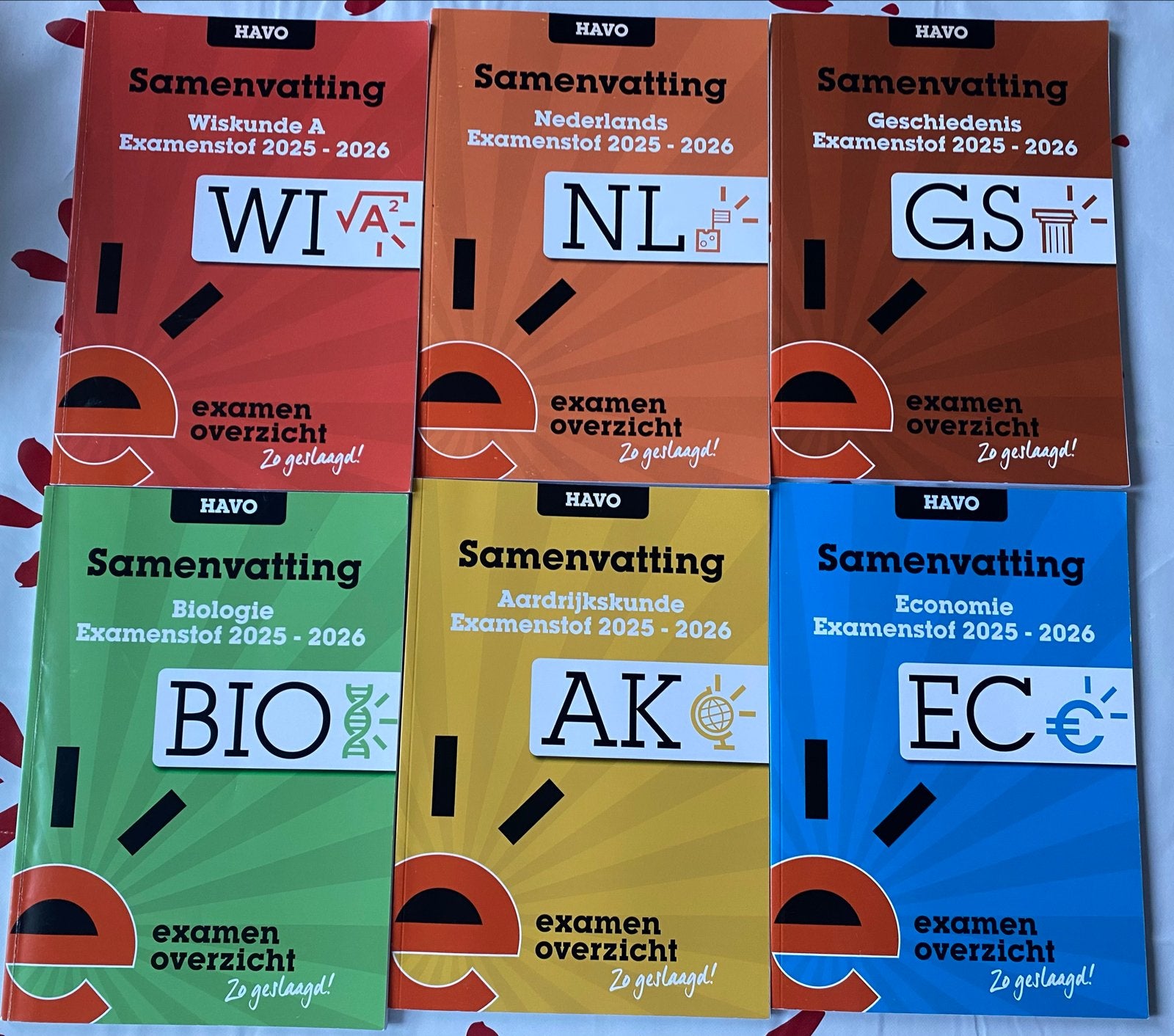 Examenoverzicht samenvattingen en oefenboeken HAVO, Ophalen of Verzenden, Gamma, Zo goed als nieuw, HBO