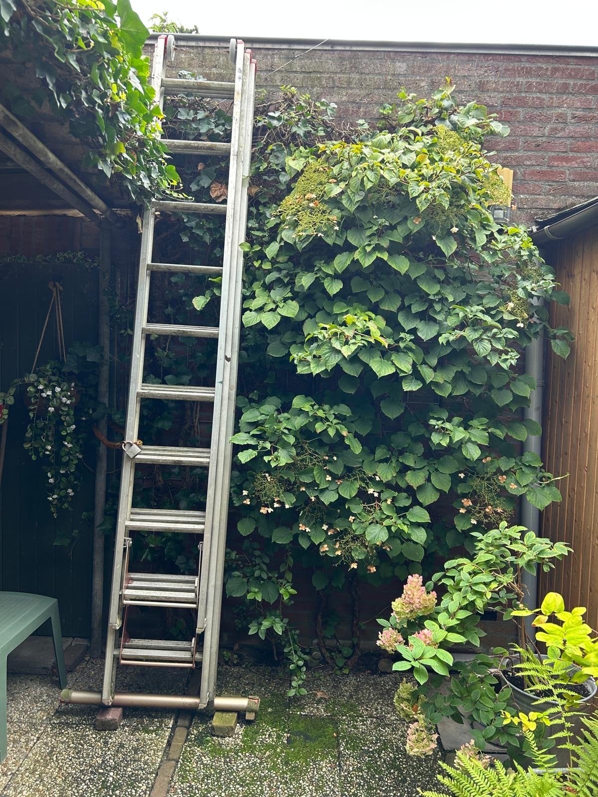 Stevige uitschuifbare ladder - Ideaal voor huis en tuin, Ophalen, Gebruikt, Ladder, Opvouwbaar of Inschuifbaar