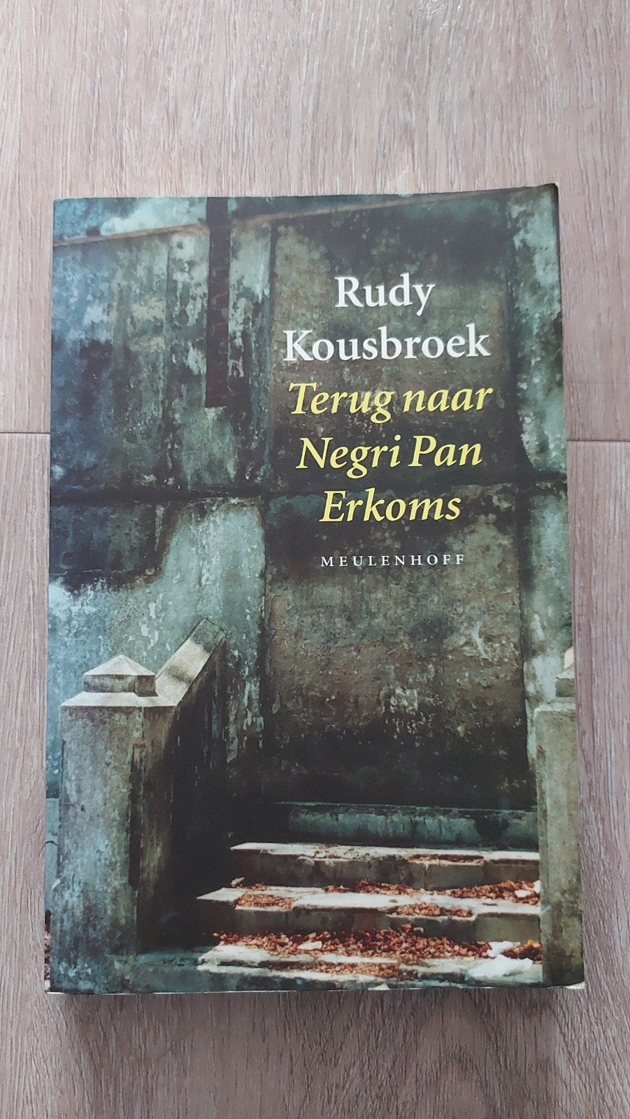 Rudy Kousbroek - Terug naar Negri Pan Erkom, Ophalen of Verzenden, Gelezen, Rudy Kousbroek, Nederland