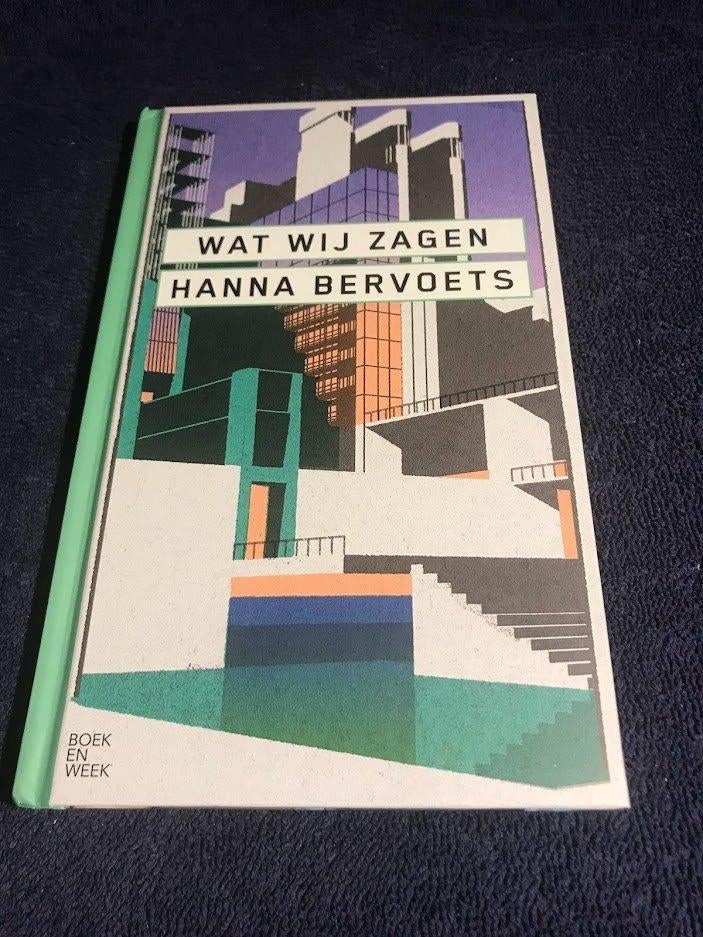 Boekenweekgeschenk 2021: Wat wij Zagen – Hanna Bervoets., Ophalen of Verzenden, Gelezen, Hanna Bervoets.  