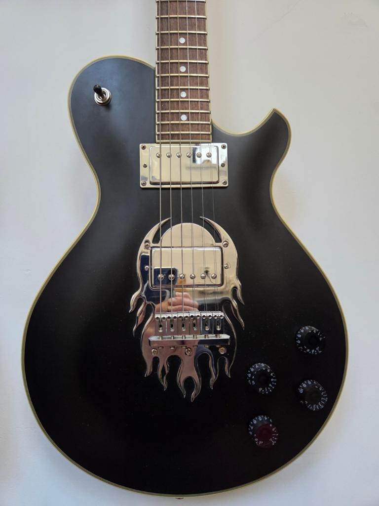 Elektrische gitaar Michael Kelly. Perfecte staat, Ophalen, Zo goed als nieuw, Hollow body, Overige merken