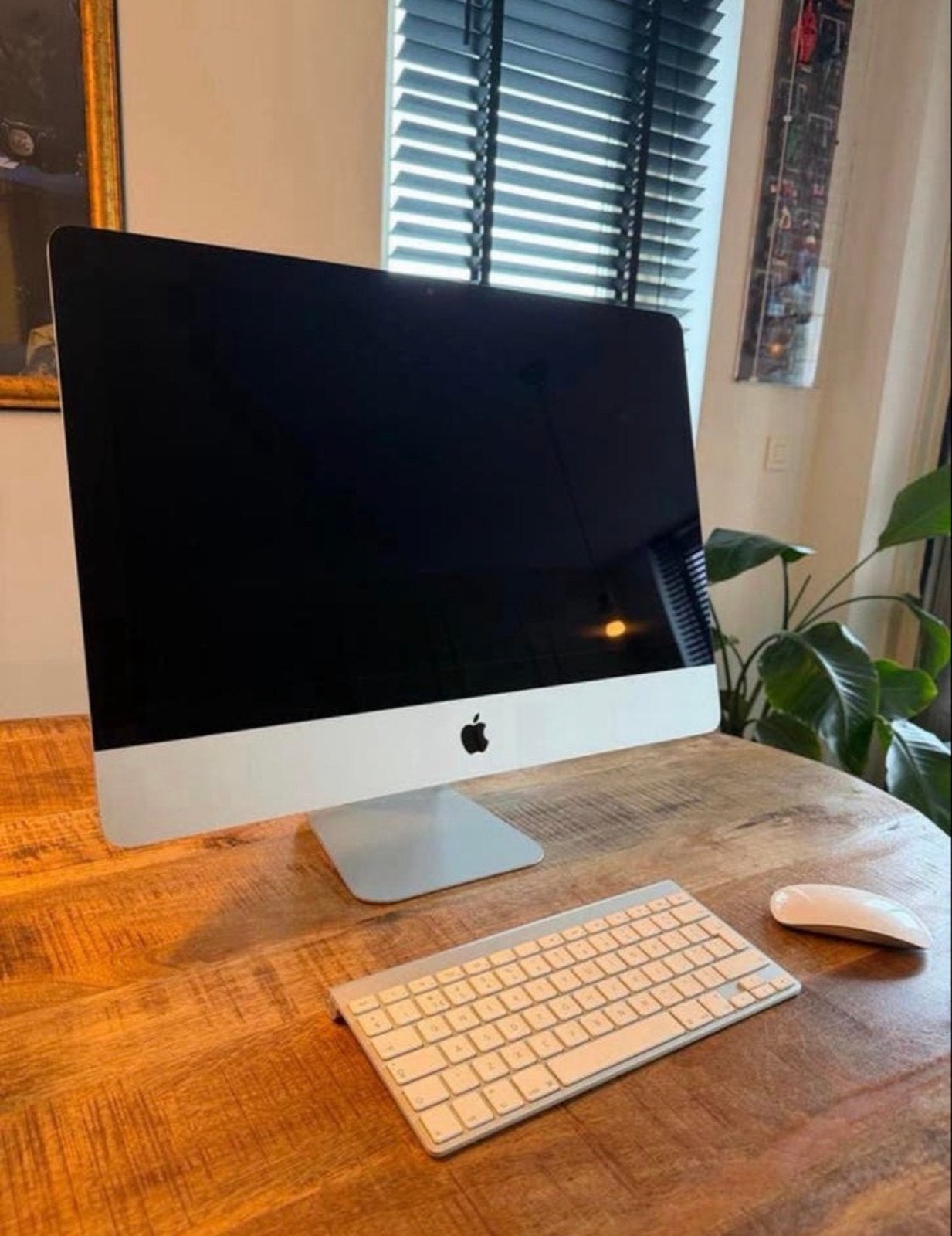 iMac 2013 21,5 inch met Magic Mouse en draadloos toetsenbord, Ophalen, Zo goed als nieuw, IMac