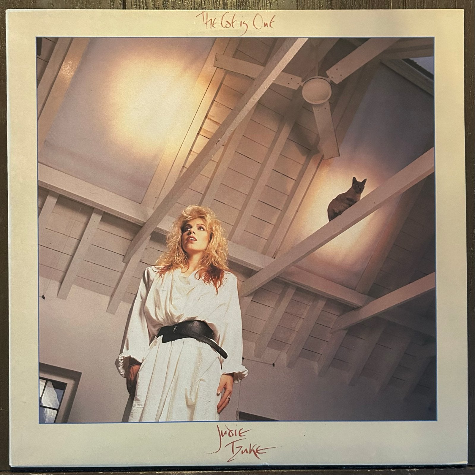 Judie Tzuke - The Cat Is Out (LP, 1985)