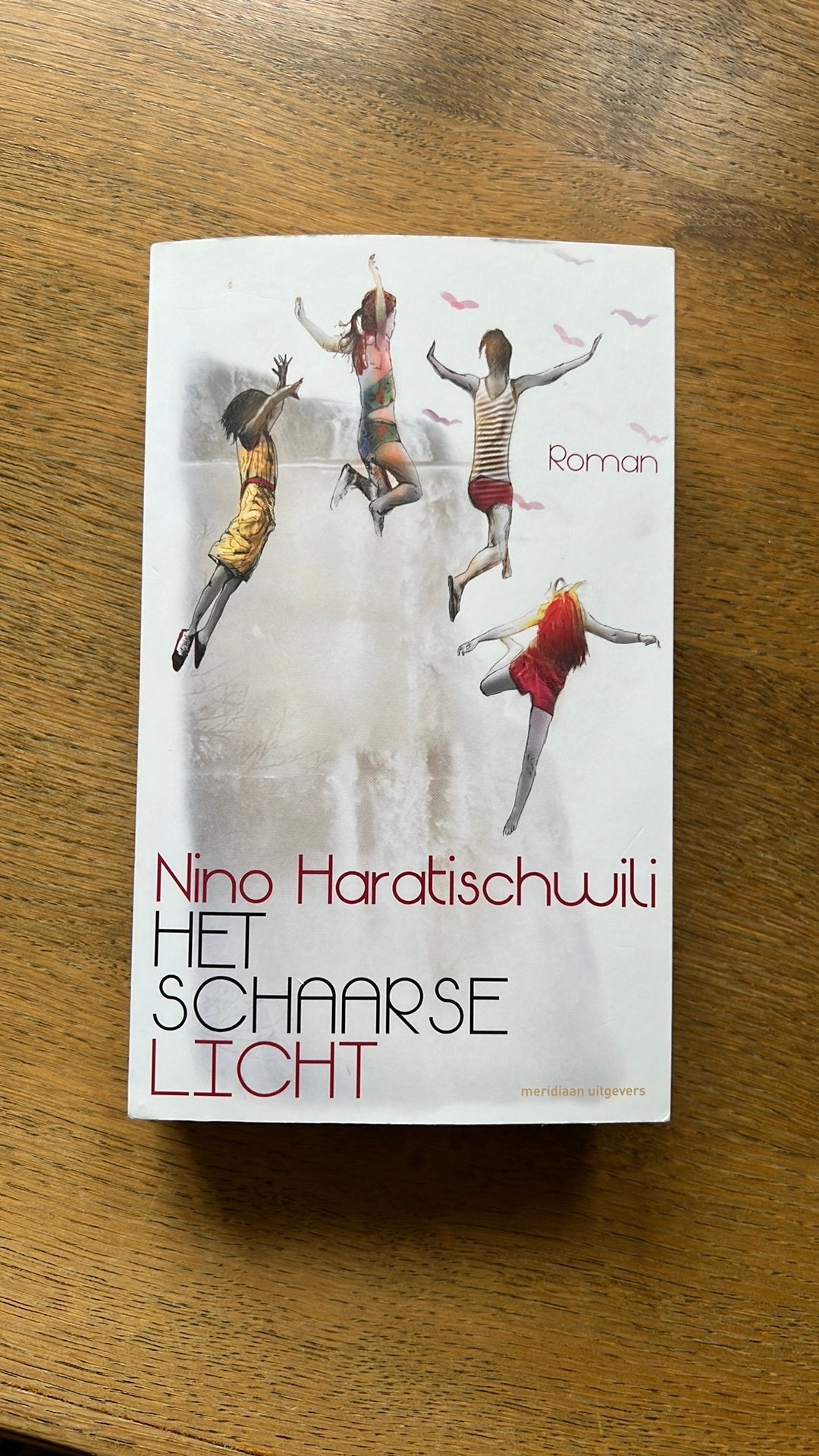 Nino Haratischwili - Het schaarse licht, Boeken, Ophalen of Verzenden, Zo goed als nieuw, Nino Haratischwili