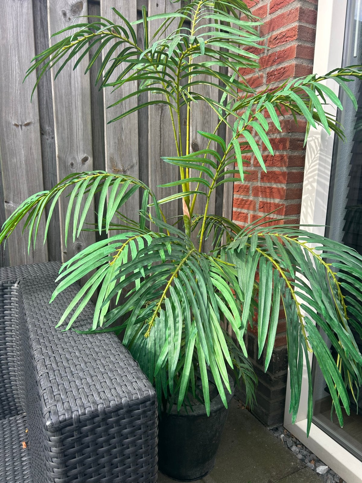 Grote kunstpalm - perfect voor binnen en buiten, Ophalen, Binnen, Kunstplant, Kunststof