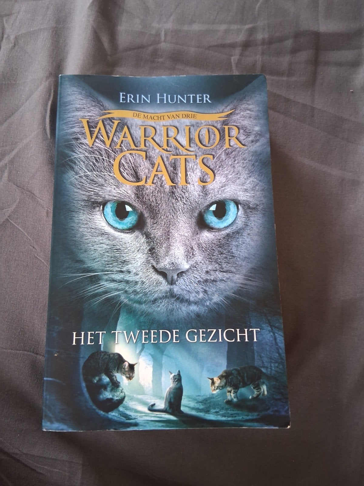 Warrior Cats: De Macht van Drie - Het Tweede Gezicht, Boeken, Ophalen of Verzenden