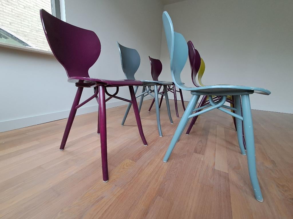 6x Tulipani roderick vos linteloo, Ophalen, Gebruikt, Design, Vijf, Zes of meer stoelen