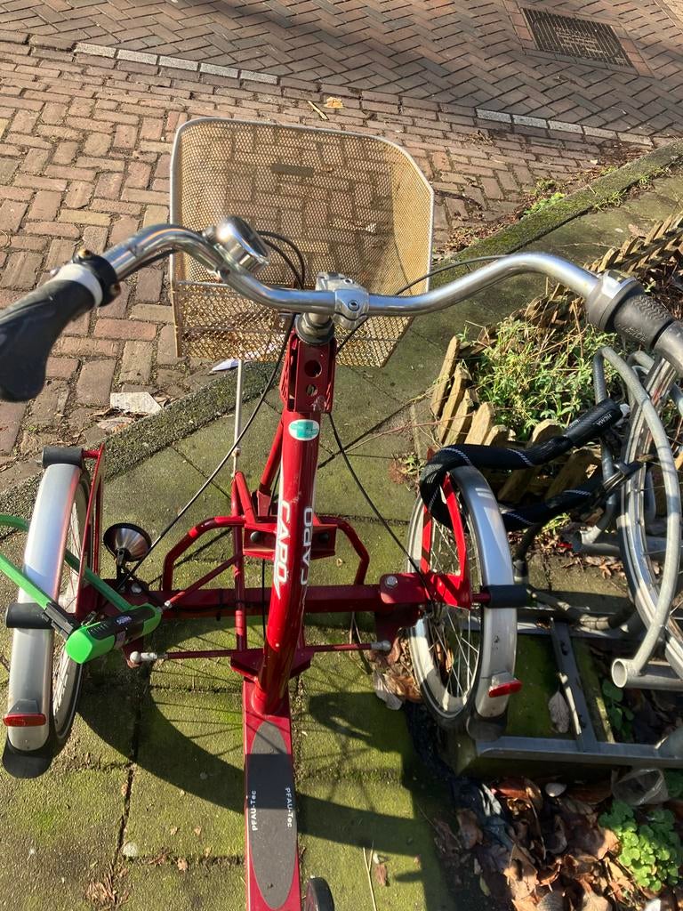 Driewieler voor volwassenen - Amsterdam Zuid, Fietsen en Brommers, Fietsen | Driewielfietsen, Ophalen of Verzenden, Gebruikt