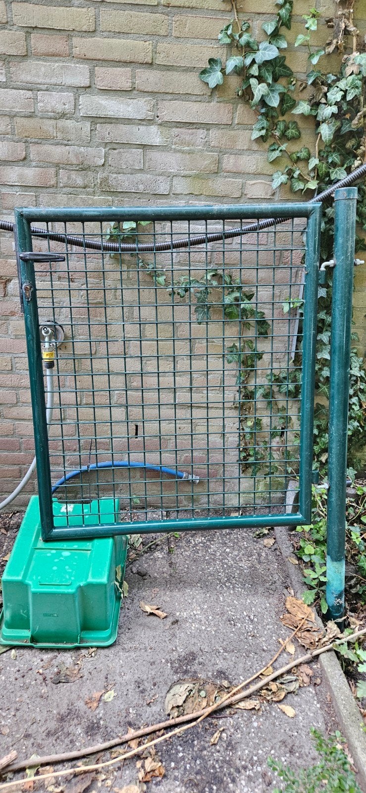 Looppoort ,Tuinpoort dennenboom groen ral.6009, Tuin en Terras, Tuinpoorten, Ophalen, Gebruikt, Minder dan 100 cm, Draaipoort