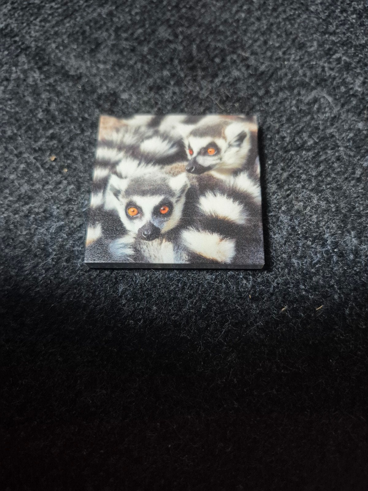Ringstaartmaki magneet, Ophalen of Verzenden, Zo goed als nieuw, Hond of Kat, Beeldje of Figuurtje