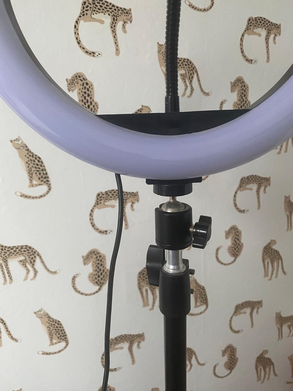 LED ringlamp inclusief standaard, Ophalen