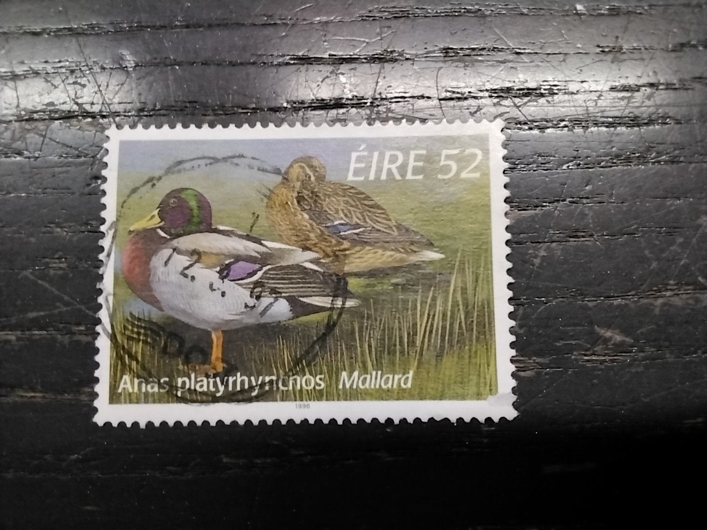 2680 Ierland 1996 eenden zegel, Ophalen of Verzenden, Ierland, Gestempeld