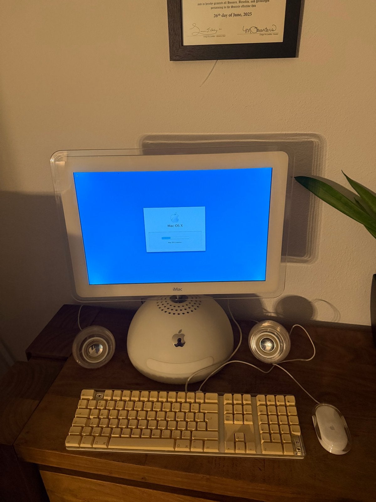 Apple iMac G4 17inch (800 MHz G4, 512 MB RAM, 372 GB HDD), Ophalen, Gebruikt, Minder dan 4 GB, HDD